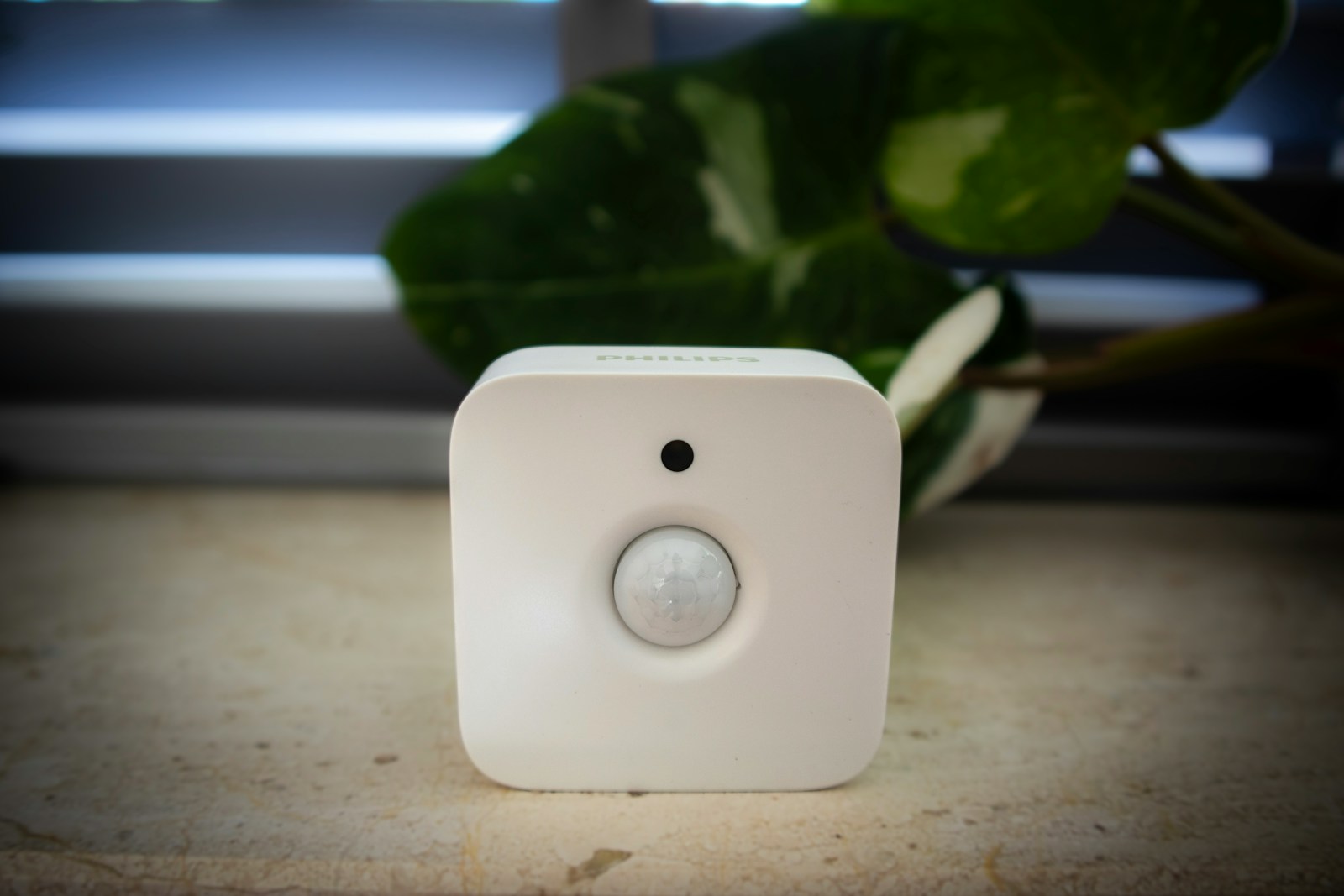 A white sensor sits in front of foliage.